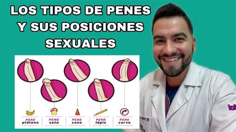 gruesos penes|Los 7 tipos de pene y excelentes posiciones sexuales .